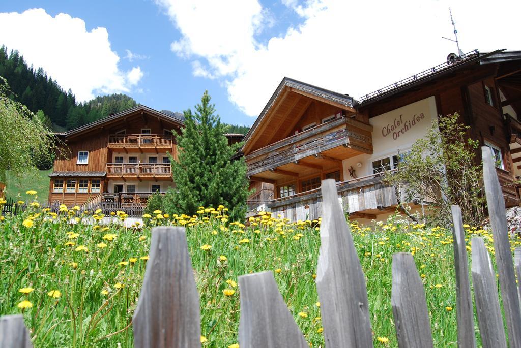 Appartamenti Chalet Orchidea Canazei Eksteriør billede